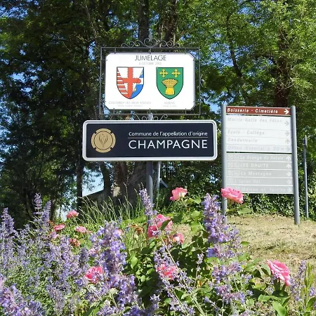 Independant Avec Spa, Jardin, Terrain De Petanque, Proche Vignoble Du Champagne A - Fr-1-611-45 Коломбе-ле-дёз-Эглиз